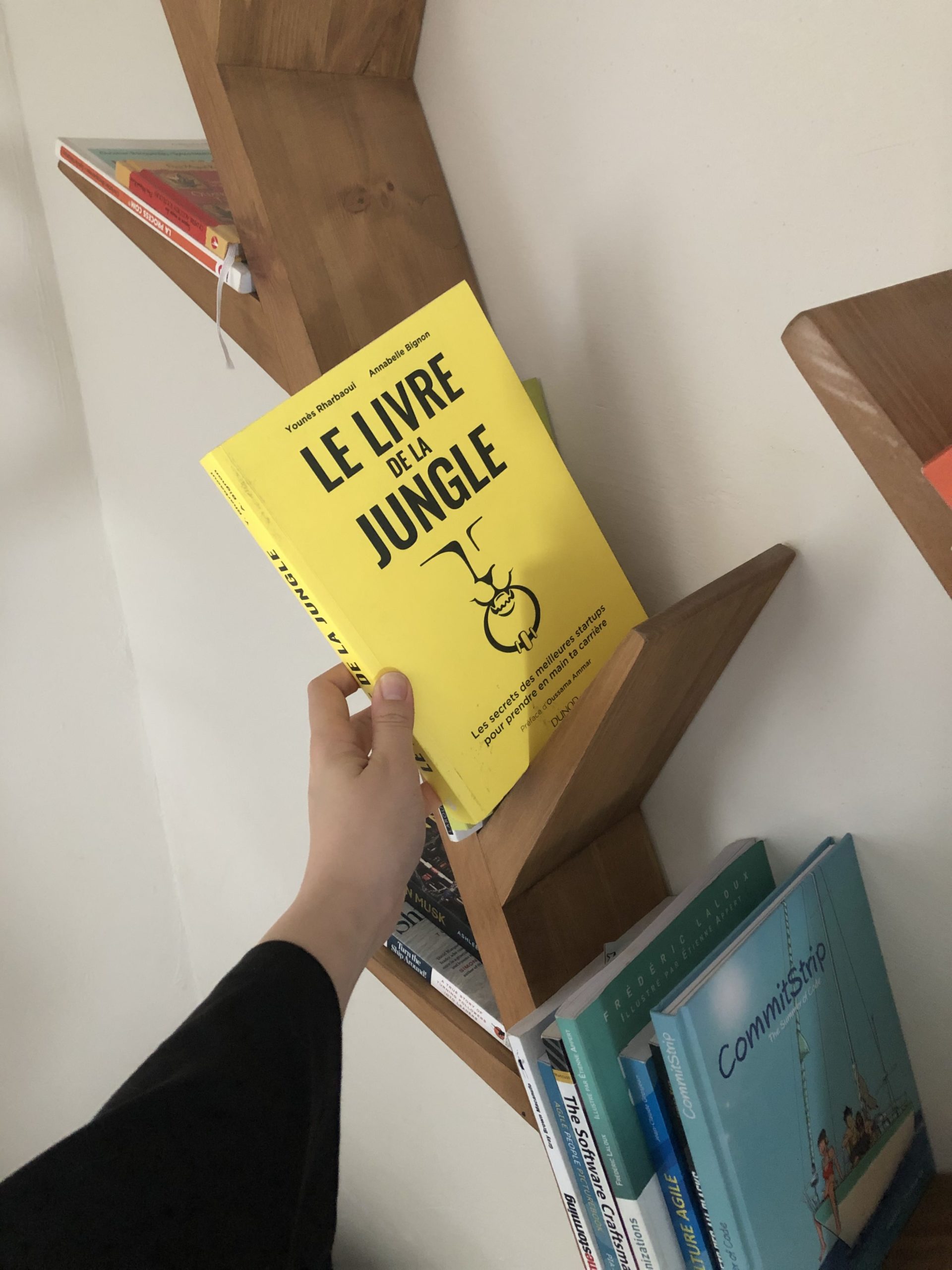 le livre de la jungle book Meilleures lectures 2019