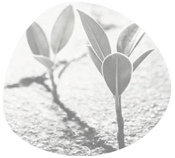 visuel-resilient-2